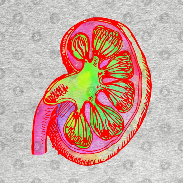 Kidney by Pau1216p